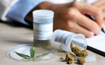 Medical Marijuana in the Workplace: You Have Protections If You Are a Registered User