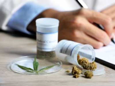 Medical Marijuana in the Workplace: You Have Protections If You Are a Registered User